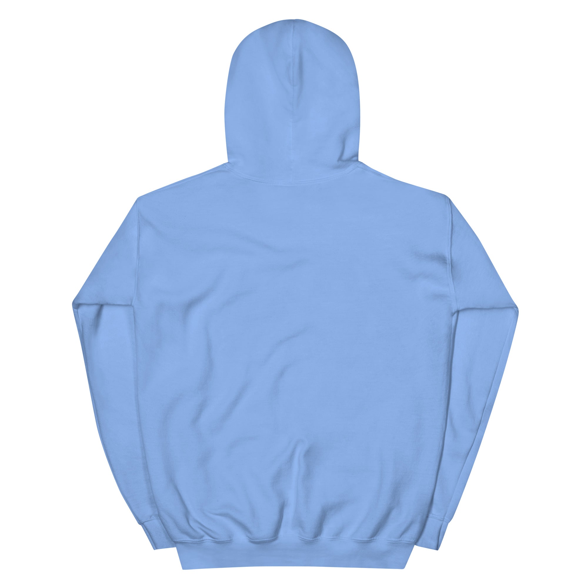 Light blue hoodie on a white background